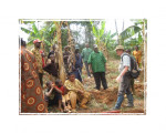 field survey Cameroon
